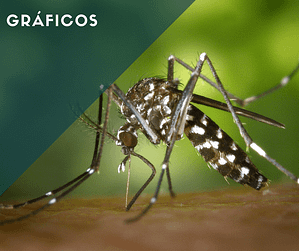 la malaria en colombia
