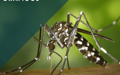 Infográfico: La malaria en Colombia