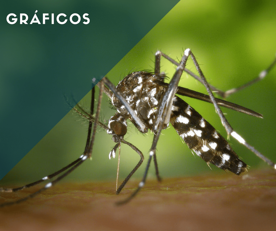 Infográfico: La malaria en Colombia